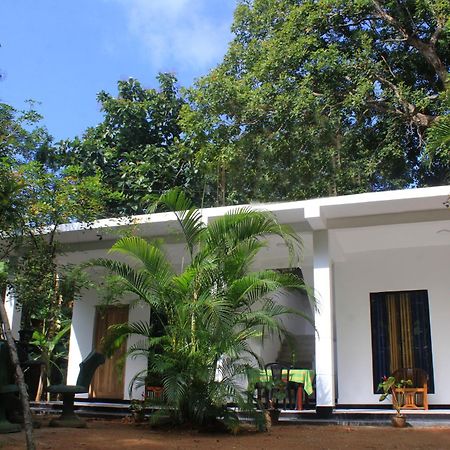 Sigiriya Mana B&B Kültér fotó