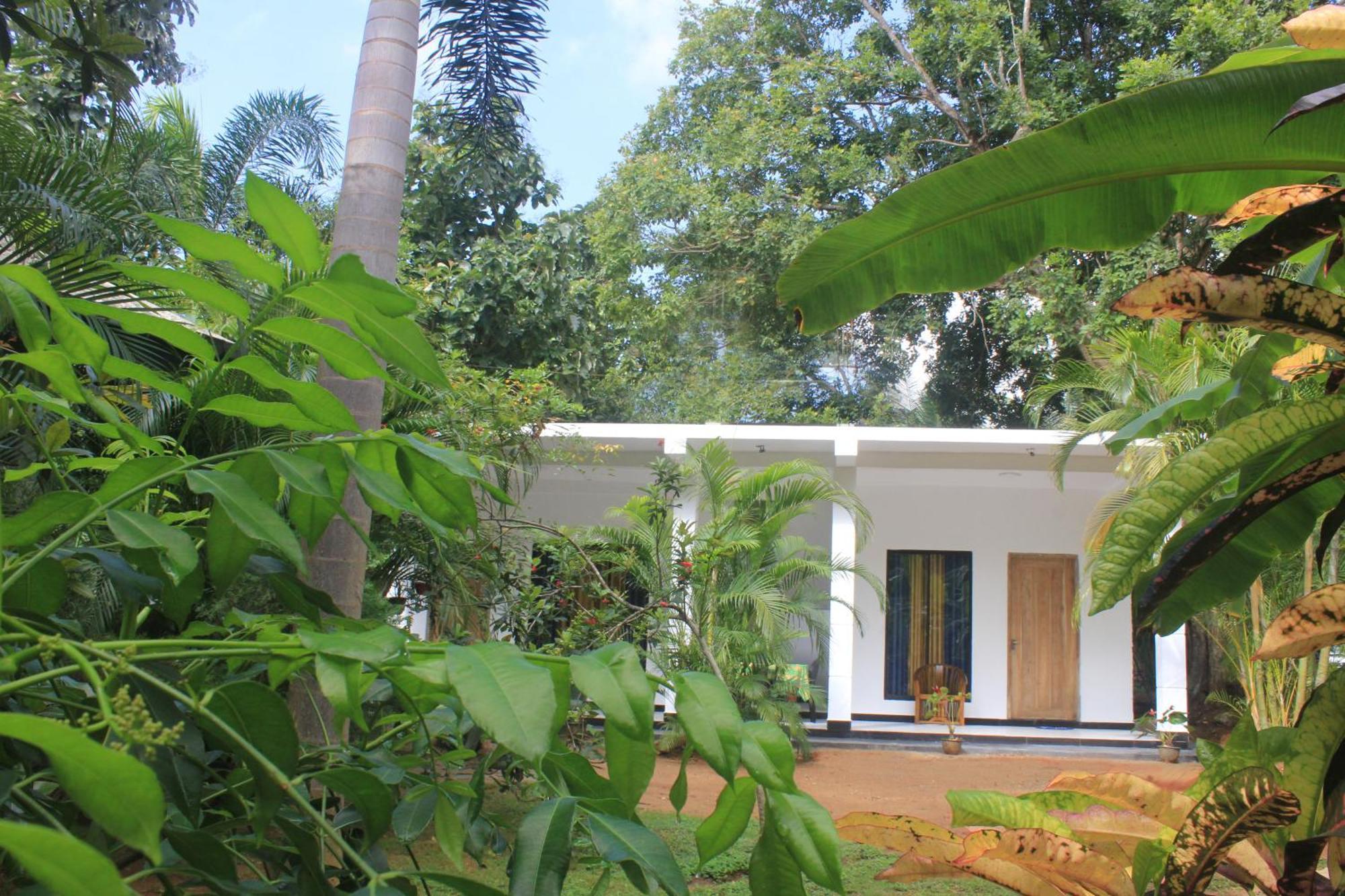 Sigiriya Mana B&B Kültér fotó