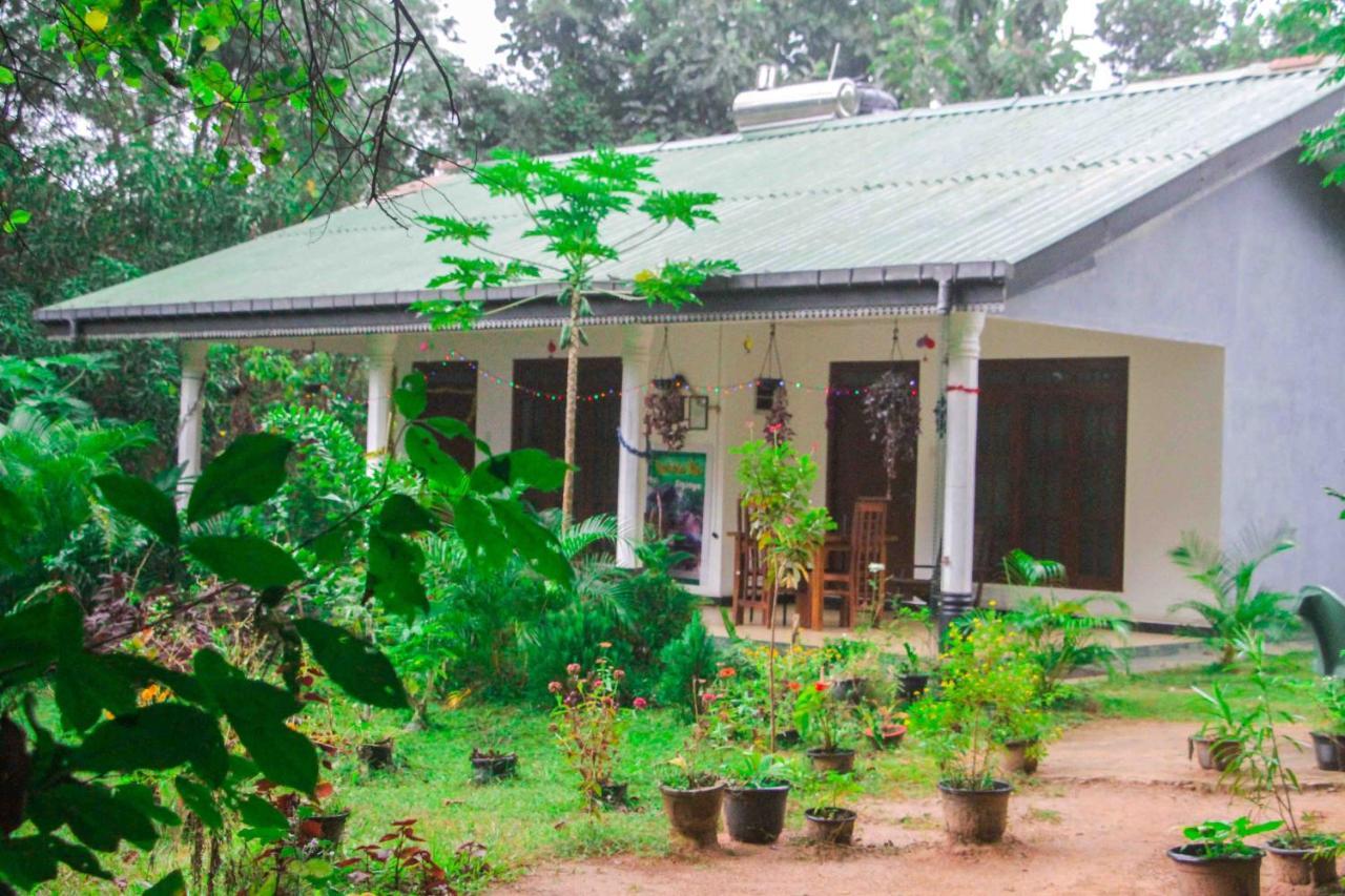 Sigiriya Mana B&B Kültér fotó