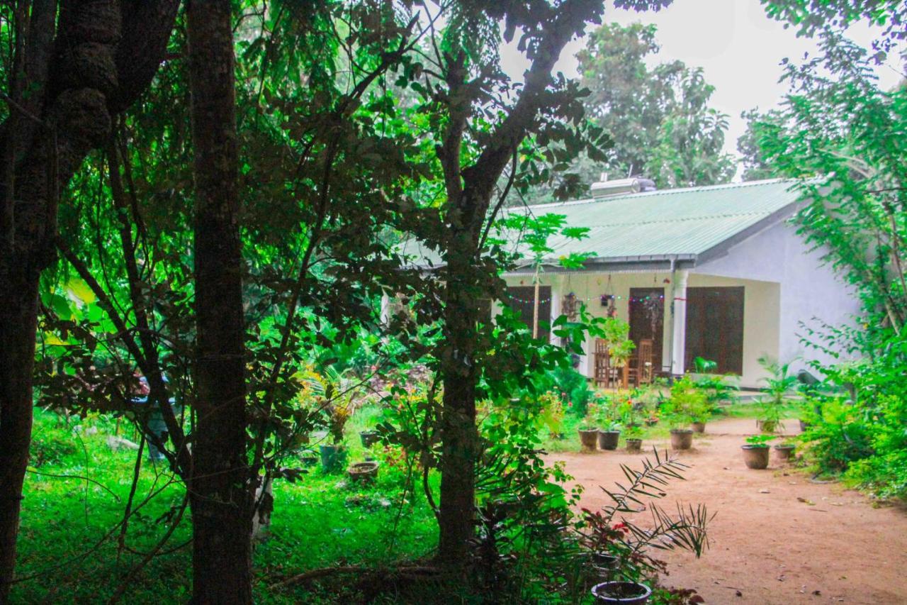 Sigiriya Mana B&B Kültér fotó