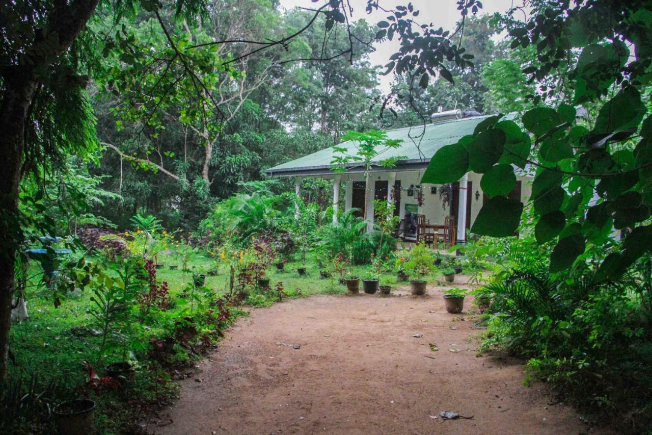 Sigiriya Mana B&B Kültér fotó