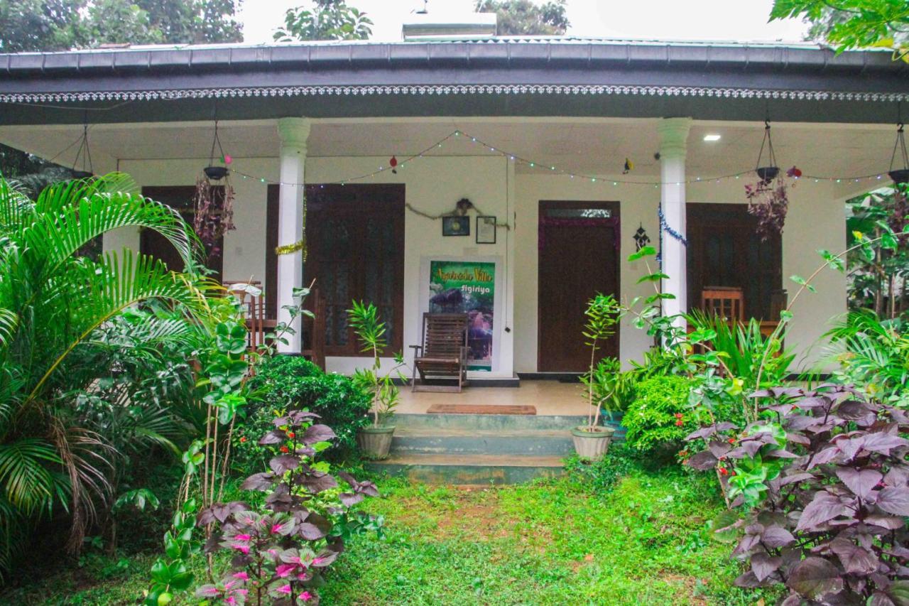 Sigiriya Mana B&B Kültér fotó