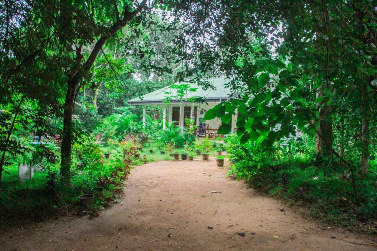 Sigiriya Mana B&B Kültér fotó