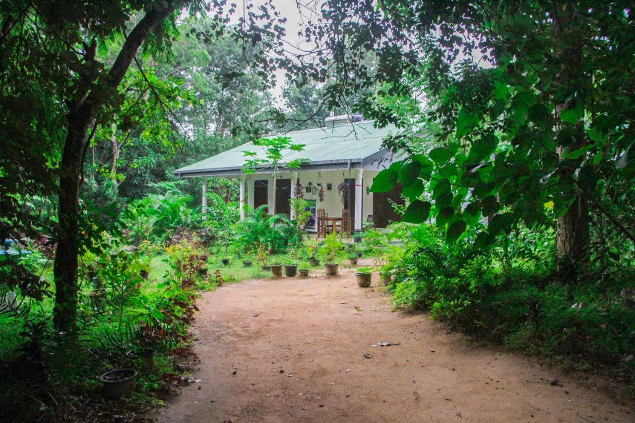 Sigiriya Mana B&B Kültér fotó