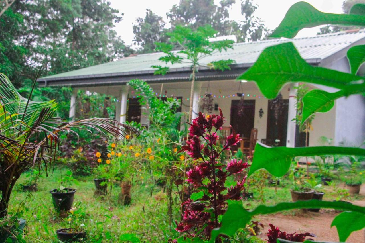 Sigiriya Mana B&B Kültér fotó