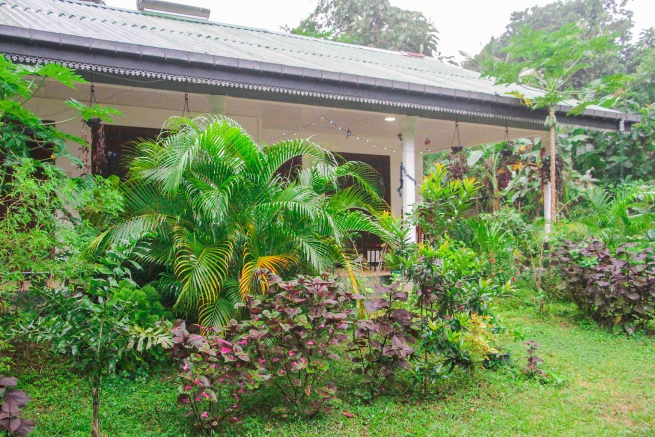 Sigiriya Mana B&B Kültér fotó