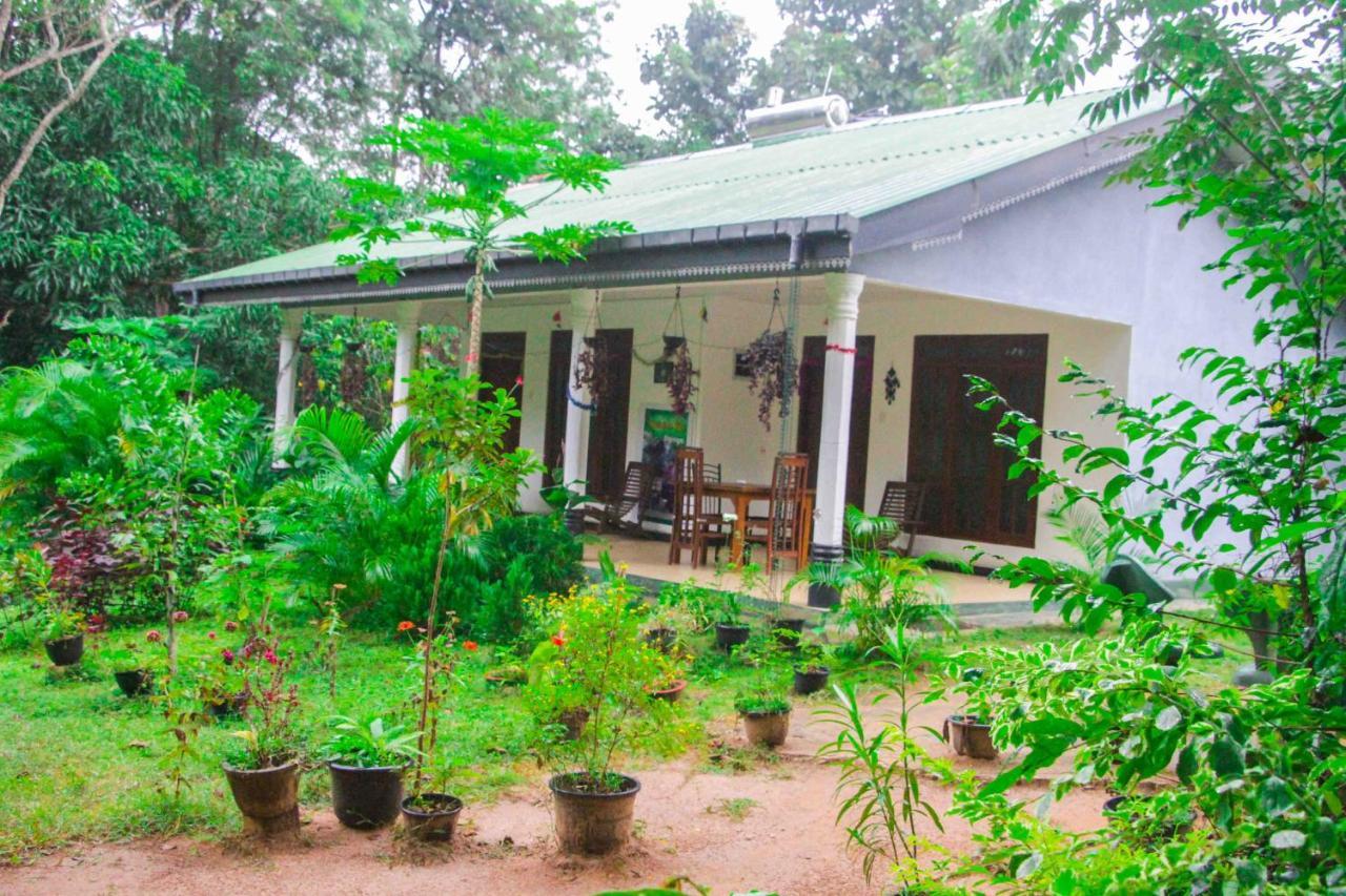 Sigiriya Mana B&B Kültér fotó