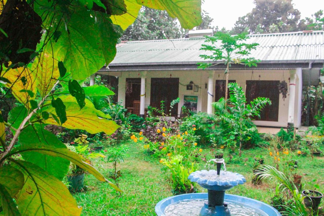 Sigiriya Mana B&B Kültér fotó