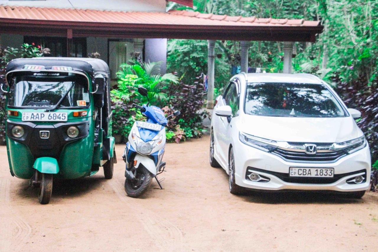 Sigiriya Mana B&B Kültér fotó